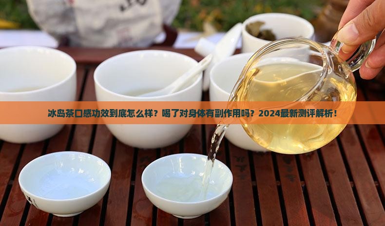 冰岛茶口感功效