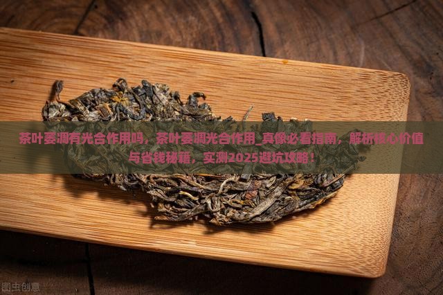 茶叶萎凋有光合作用吗