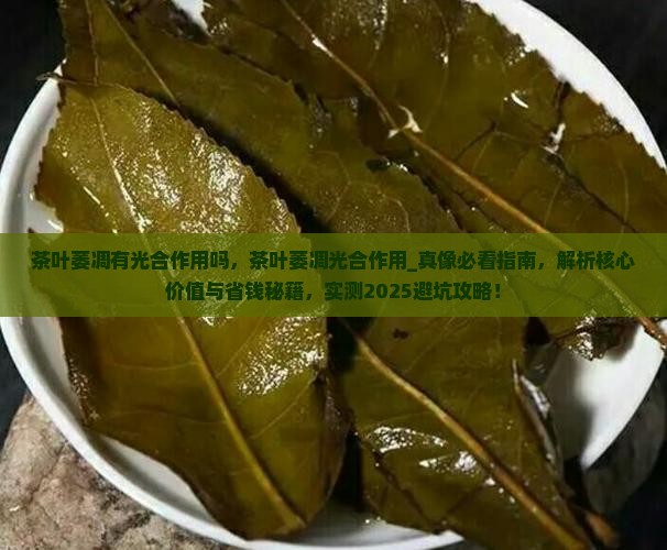 茶叶萎凋有光合作用吗