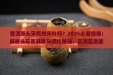 普洱茶头采有对夹叶吗