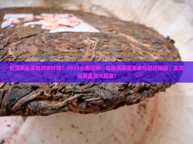 普洱茶头采有对夹叶吗