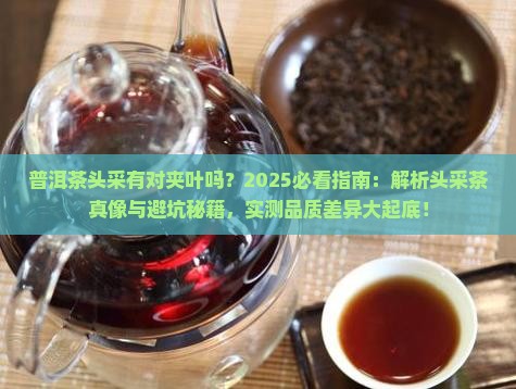 普洱茶头采有对夹叶吗