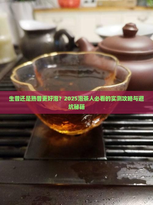 普洱茶生普和熟普哪个好泡