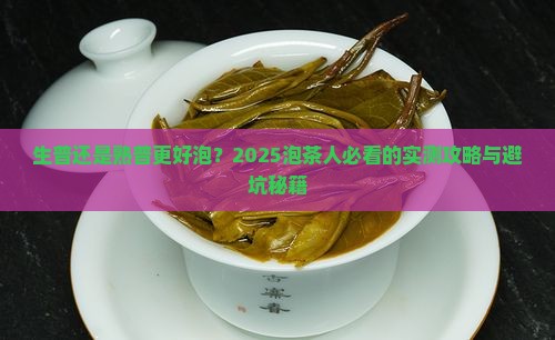 普洱茶生普和熟普哪个好泡