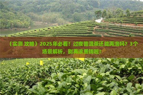 过夜普洱茶可以再泡吗