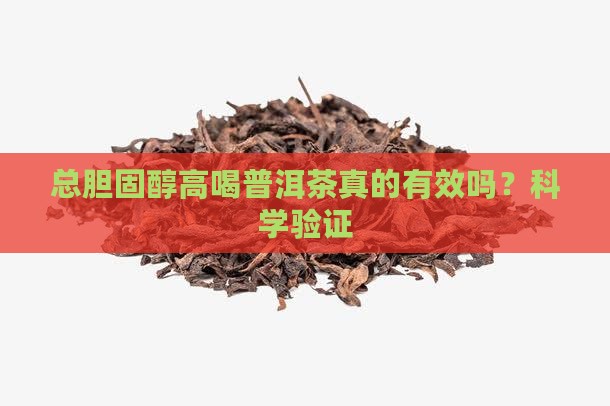 总胆固醇高喝普洱茶