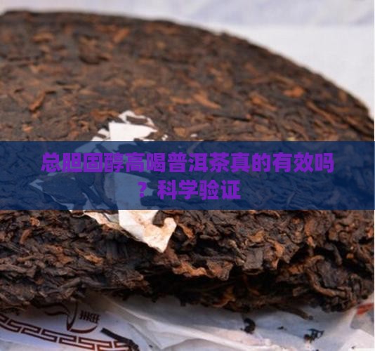 总胆固醇高喝普洱茶
