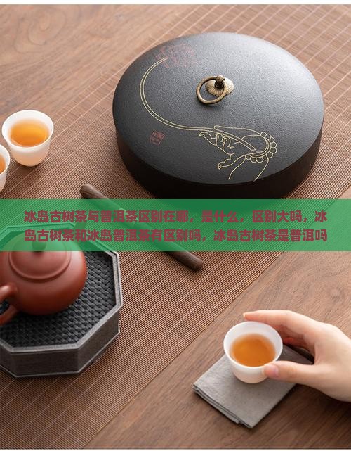 冰岛古树茶与普洱茶区别