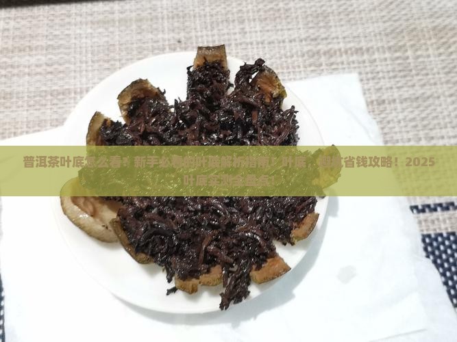 形容普洱茶的叶底