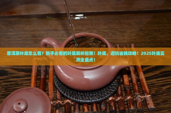 形容普洱茶的叶底