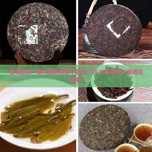 普洱茶生茶厂商代理