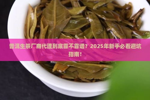 普洱茶生茶厂商代理