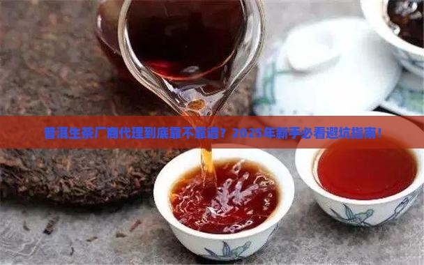 普洱茶生茶厂商代理
