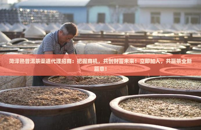菏泽熟普洱茶渠道代理招商