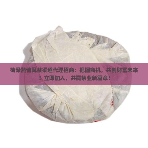 菏泽熟普洱茶渠道代理招商