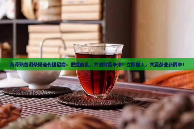菏泽熟普洱茶渠道代理招商
