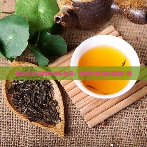 杭菊普洱茶的功效与作用
