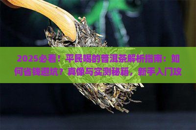 平民喝的普洱茶