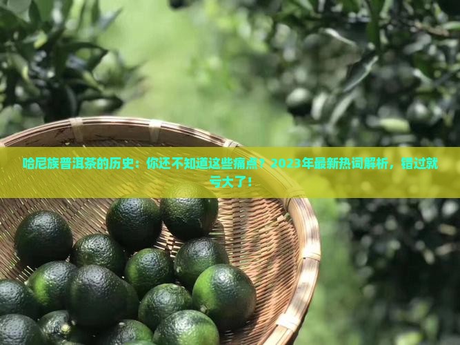 哈尼族普洱茶的历史