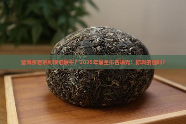 普洱茶最老排名