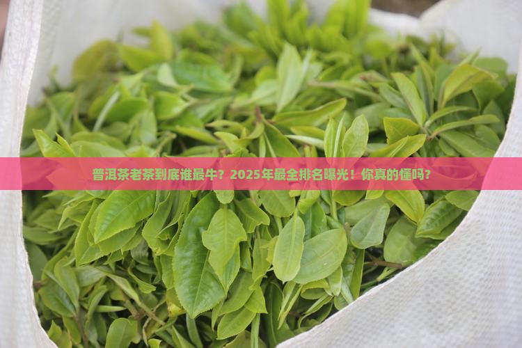 普洱茶最老排名