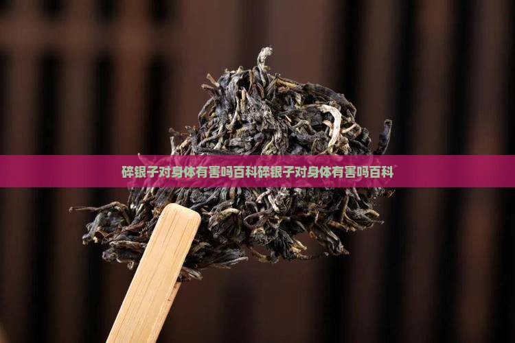 碎银子对身体有害吗百科
