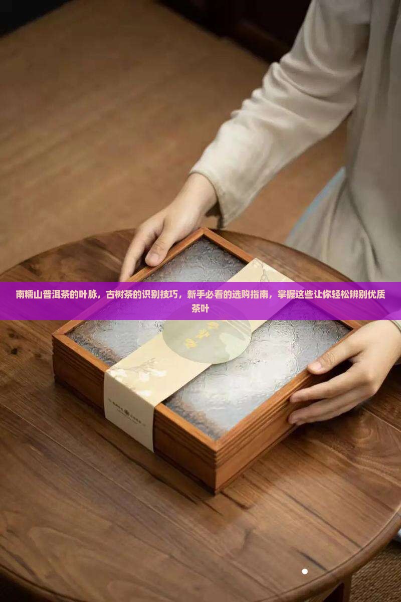 南糯山普洱茶的叶脉