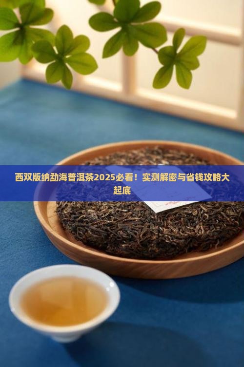 西双版纳勐海普洱茶品牌