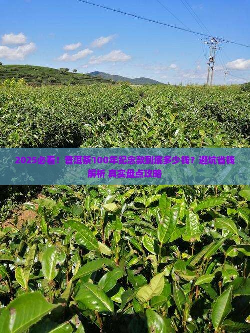 普洱茶100年纪念款多少钱