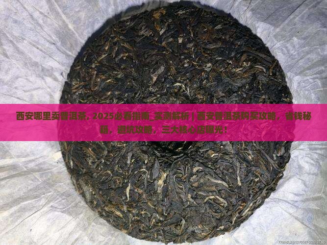 西安哪里卖普洱茶