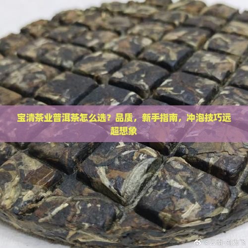 宝清茶业普洱茶