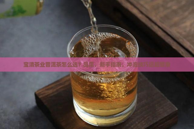 宝清茶业普洱茶