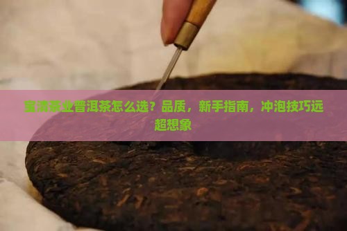 宝清茶业普洱茶