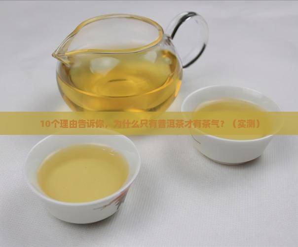只有普洱茶才有茶气吗
