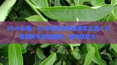 05年老班章有机茶