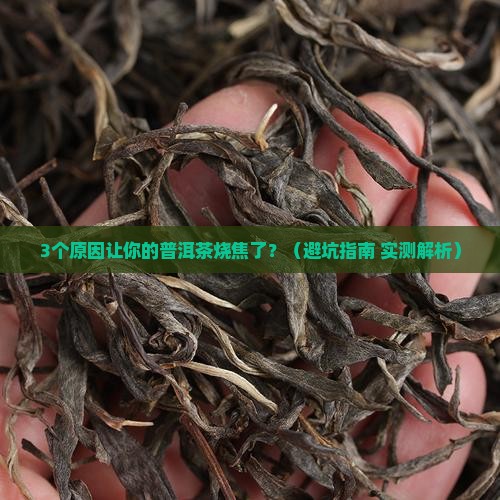 普洱茶烧焦怎么回事