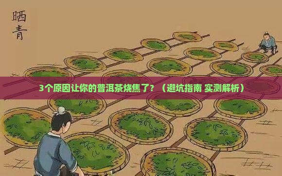普洱茶烧焦怎么回事