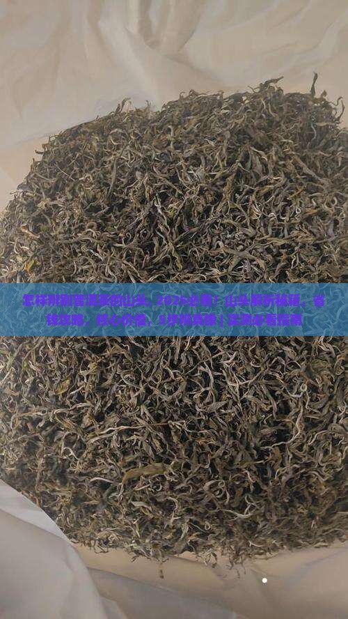怎样辨别普洱茶的山头