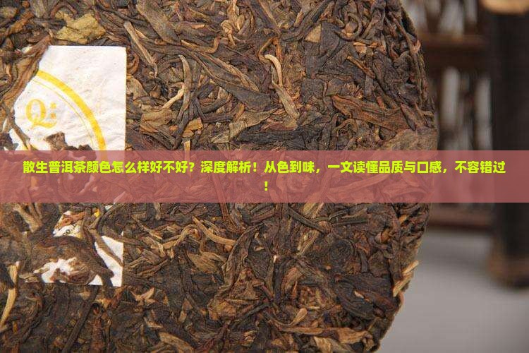散生普洱茶颜色怎么样好不好