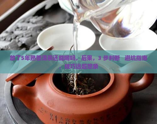 放了5年熟普洱茶还能喝吗