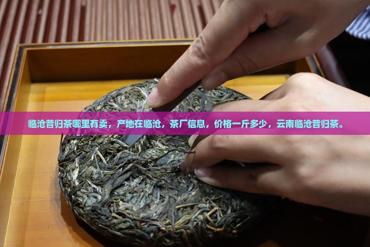 临沧昔归茶哪里有卖