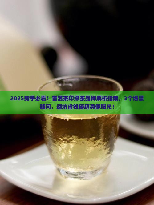 普洱茶印级茶品种