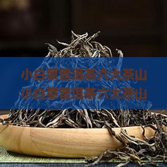 小白菜普洱茶六大茶山