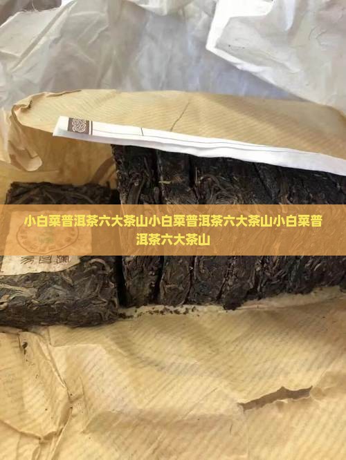 小白菜普洱茶六大茶山