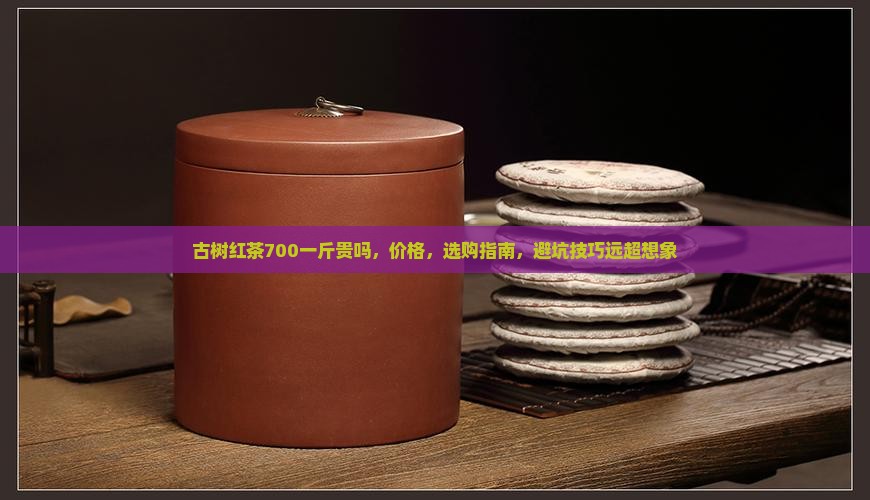古树红茶700一斤贵吗 古树红茶700一斤贵吗