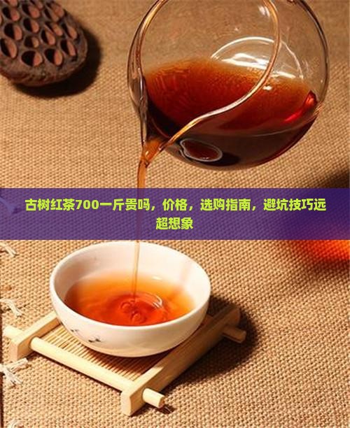 古树红茶700一斤贵吗 古树红茶700一斤贵吗