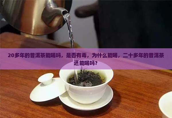 20多年的普洱茶能喝吗