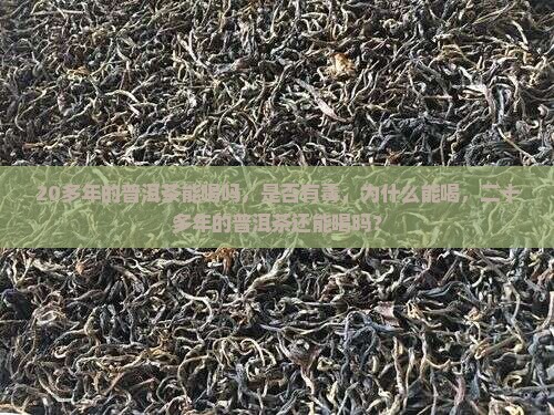 20多年的普洱茶能喝吗