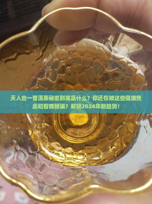 天人合一普洱茶秘密