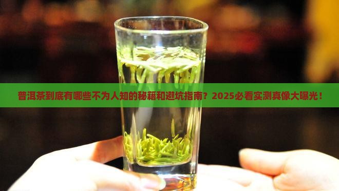 普洱茶的相关知识有哪些